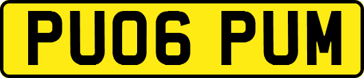 PU06PUM