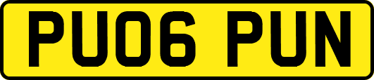 PU06PUN