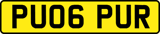 PU06PUR