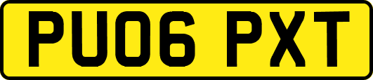 PU06PXT
