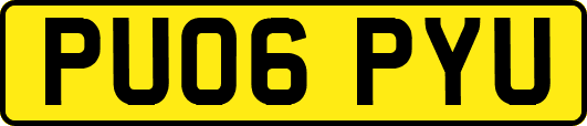 PU06PYU