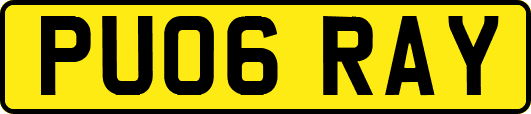 PU06RAY