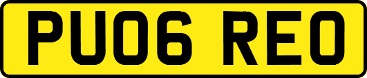 PU06REO