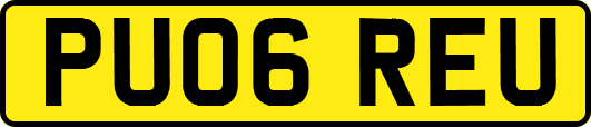 PU06REU