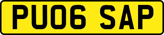 PU06SAP