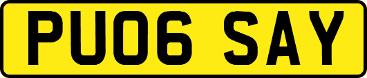 PU06SAY
