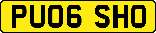 PU06SHO