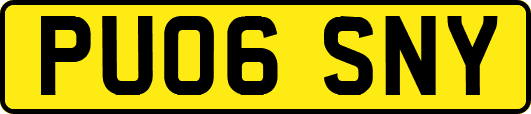 PU06SNY