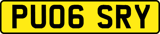 PU06SRY