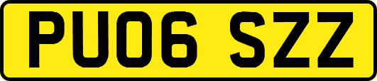 PU06SZZ