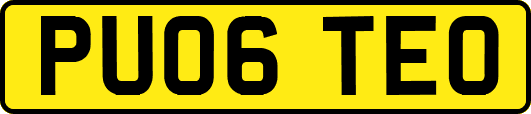 PU06TEO