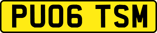 PU06TSM