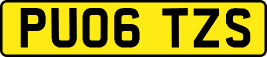PU06TZS