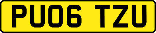 PU06TZU