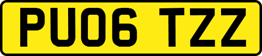PU06TZZ