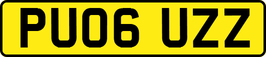 PU06UZZ