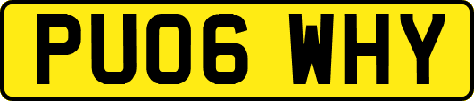 PU06WHY