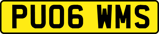PU06WMS
