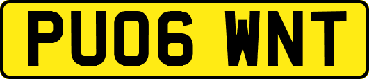 PU06WNT