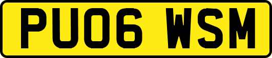 PU06WSM