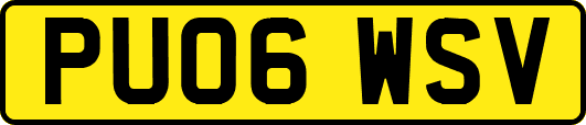PU06WSV