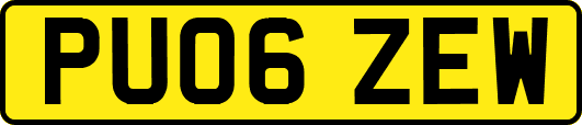 PU06ZEW
