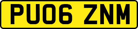 PU06ZNM