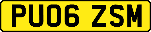 PU06ZSM