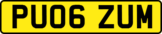 PU06ZUM