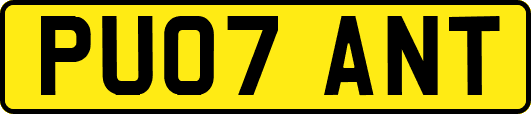 PU07ANT