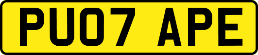 PU07APE