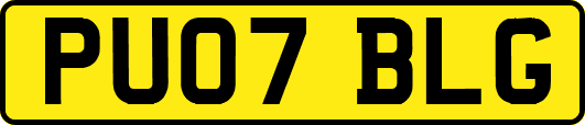 PU07BLG