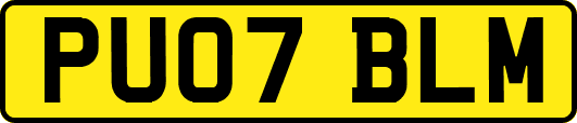 PU07BLM