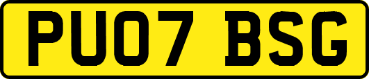 PU07BSG