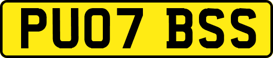 PU07BSS