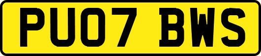 PU07BWS