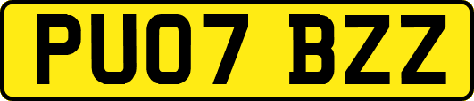 PU07BZZ