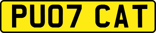 PU07CAT