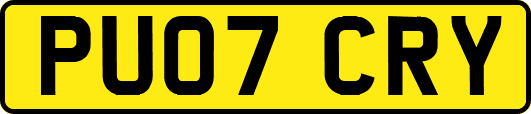 PU07CRY