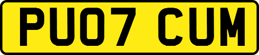 PU07CUM