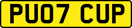 PU07CUP