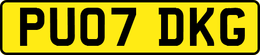 PU07DKG