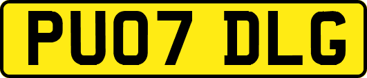 PU07DLG