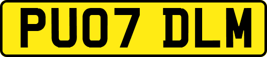 PU07DLM