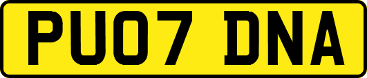 PU07DNA