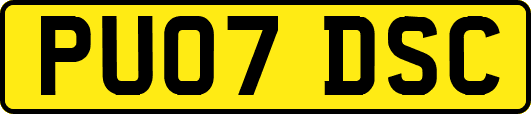 PU07DSC