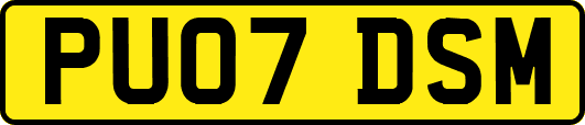 PU07DSM