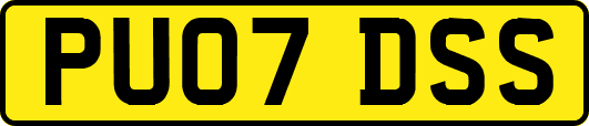 PU07DSS