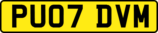 PU07DVM