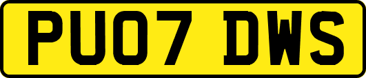 PU07DWS